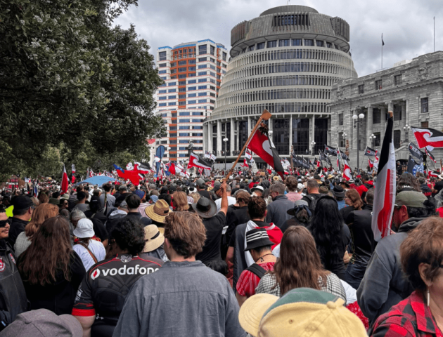 Hikoi outside parliament