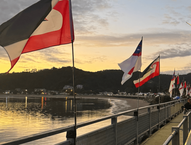 Tino rangatiratanga flags